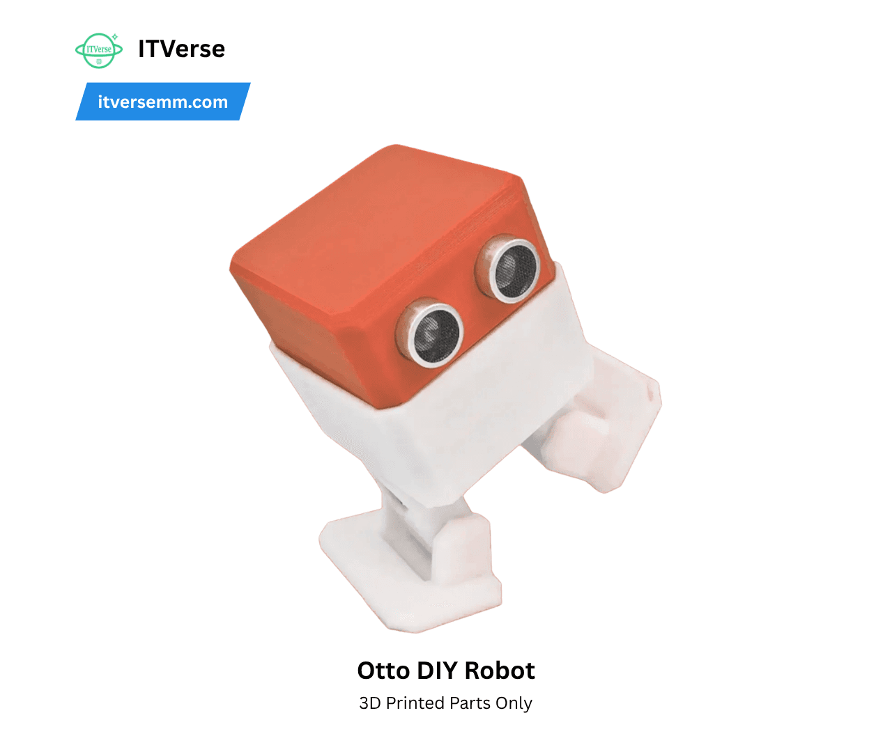 3D Printed OTTO Diy Robot